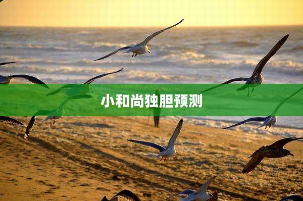 小和尚独胆预测