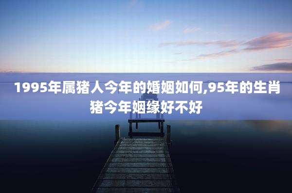 1995年属猪人今年的婚姻如何,95年的生肖猪今年姻缘好不好