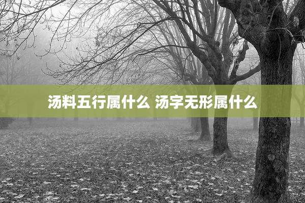 汤料五行属什么 汤字无形属什么