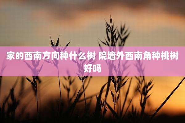 家的西南方向种什么树 院墙外西南角种桃树好吗