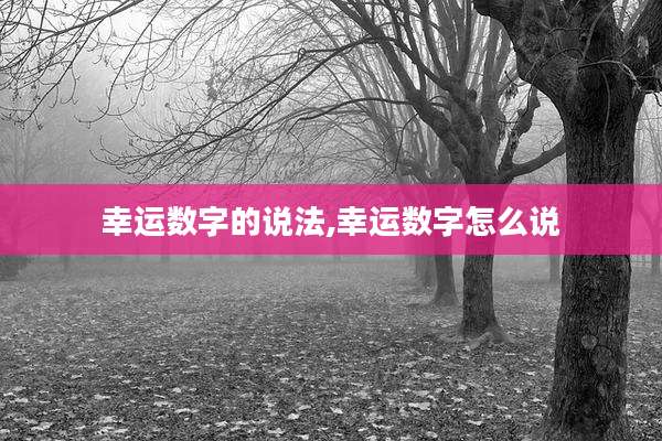 幸运数字的说法,幸运数字怎么说