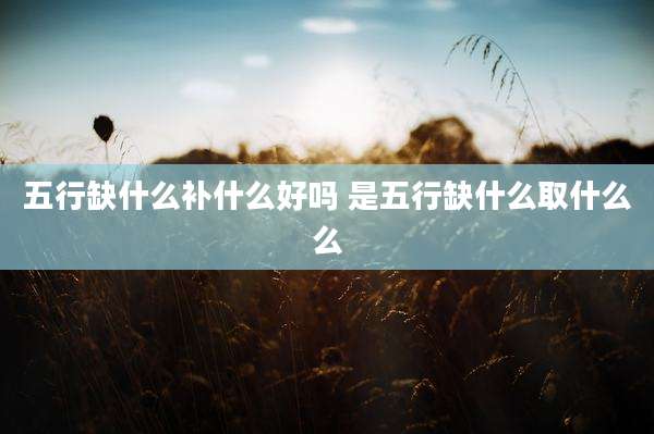 五行缺什么补什么好吗 是五行缺什么取什么么
