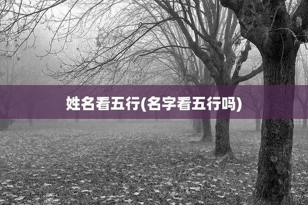 姓名看五行(名字看五行吗)