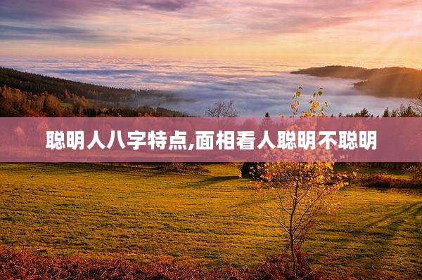 聪明人八字特点,面相看人聪明不聪明