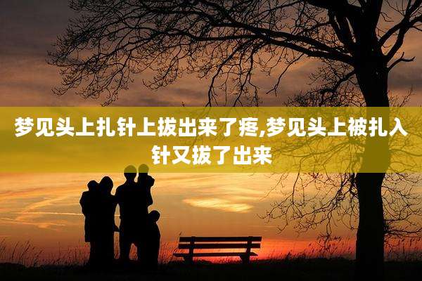 梦见头上扎针上***了疼,梦见头上被扎入针又拔了出来