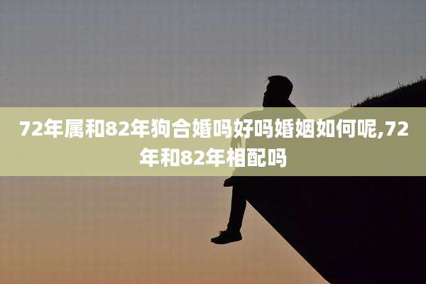 72年属和82年狗合婚吗好吗婚姻如何呢,72年和82年相配吗