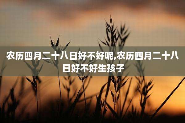 农历四月二十八日好不好呢,农历四月二十八日好不好生孩子