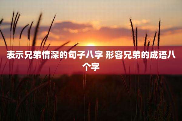 表示兄弟情深的句子八字 形容兄弟的成语八个字