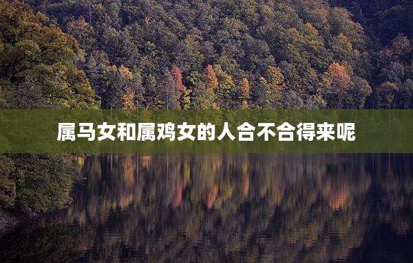 属马女和属鸡女的人合不合得来呢