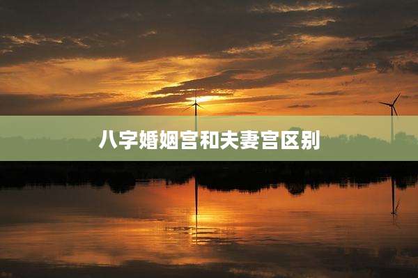 八字婚姻宫和夫妻宫区别