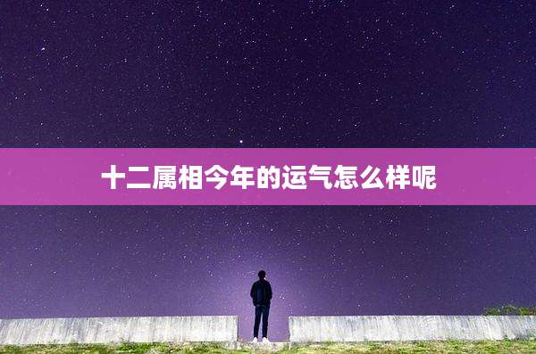 十二属相今年的运气怎么样呢