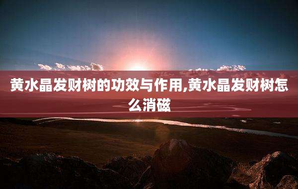 黄水晶发财树的功效与作用,黄水晶发财树怎么消磁
