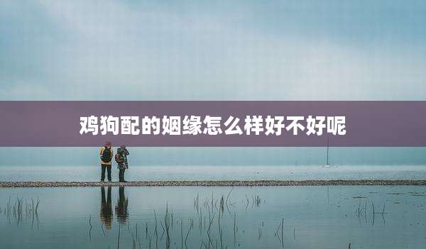 鸡狗配的姻缘怎么样好不好呢