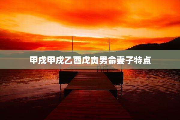 甲戌甲戌乙酉戊寅男命妻子特点