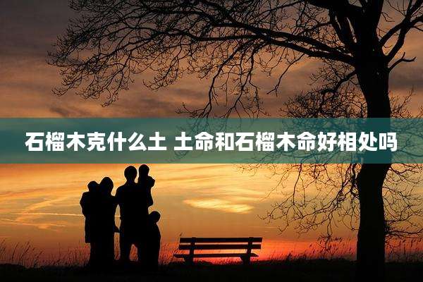石榴木克什么土 土命和石榴木命好相处吗