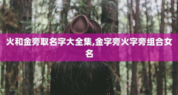 火和金旁取名字大全集,金字旁火字旁组合女名