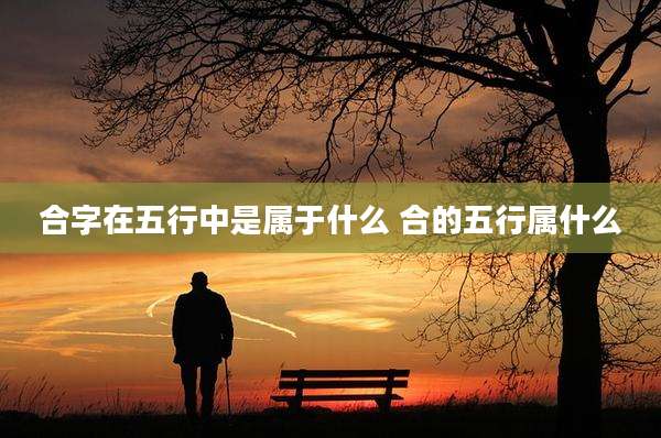 合字在五行中是属于什么 合的五行属什么