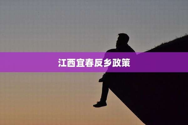 江西宜春反乡政策