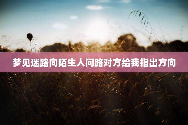梦见迷路向陌生人问路对方给我指出方向