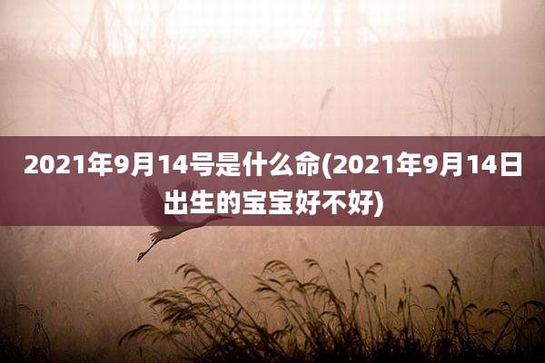 2021年9月14号是什么命(2021年9月14日出生的宝宝好不好)