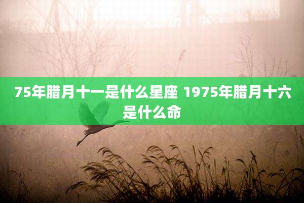 75年腊月十一是什么星座 1975年腊月十六是什么命
