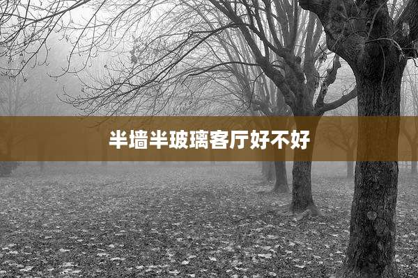 半墙半玻璃客厅好不好