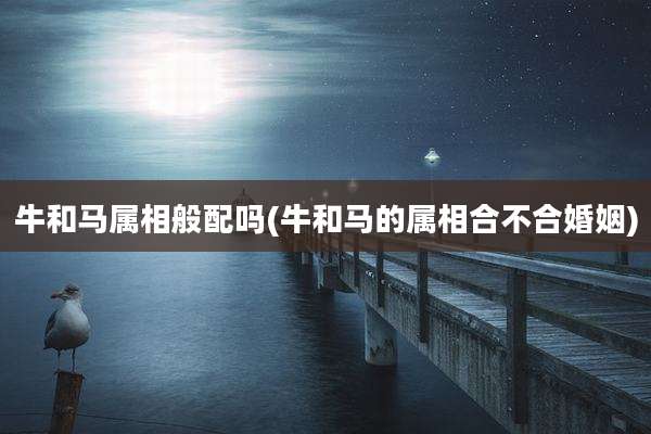 牛和马属相般配吗(牛和马的属相合不合婚姻)