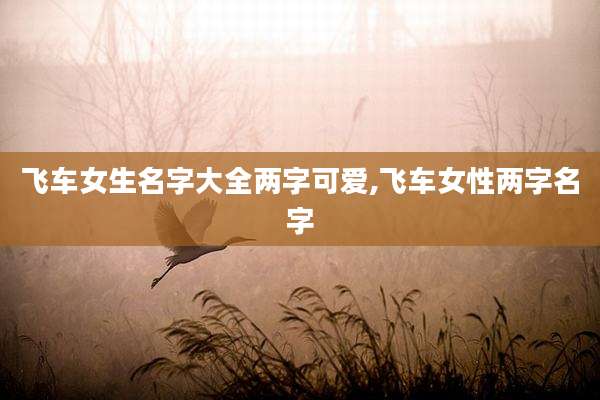 飞车女生名字大全两字可爱,飞车女性两字名字