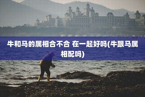 牛和马的属相合不合 在一起好吗(牛跟马属相配吗)