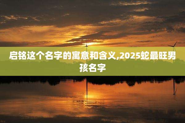 启铭这个名字的寓意和含义,2025蛇最旺男孩名字