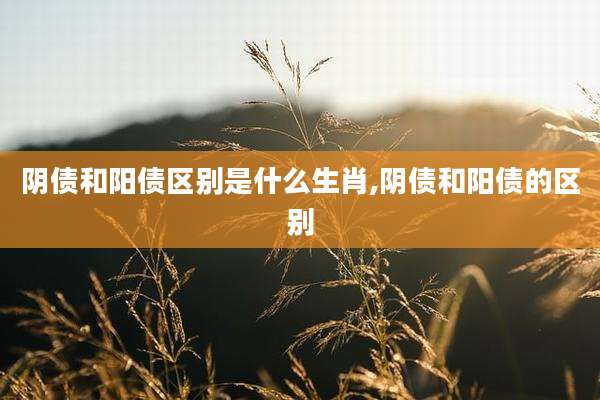 阴债和阳债区别是什么生肖,阴债和阳债的区别