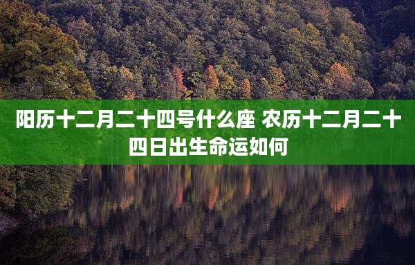 阳历十二月二十四号什么座 农历十二月二十四日出生命运如何