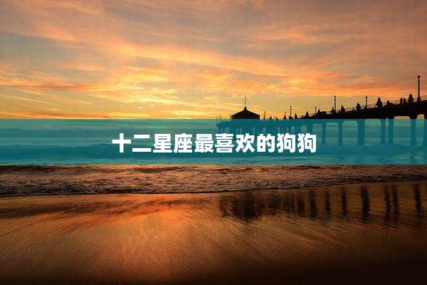 十二星座最喜欢的狗狗