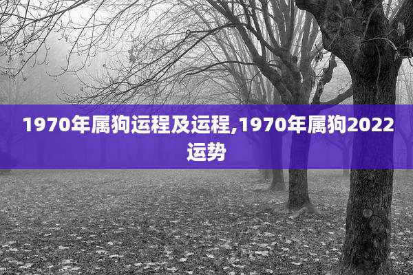 1970年属狗运程及运程,1970年属狗2022运势