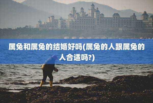属兔和属兔的结婚好吗(属兔的人跟属兔的人合适吗?)