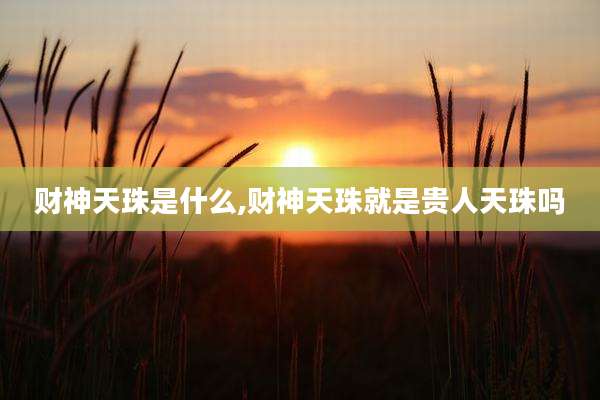 财神天珠是什么,财神天珠就是贵人天珠吗