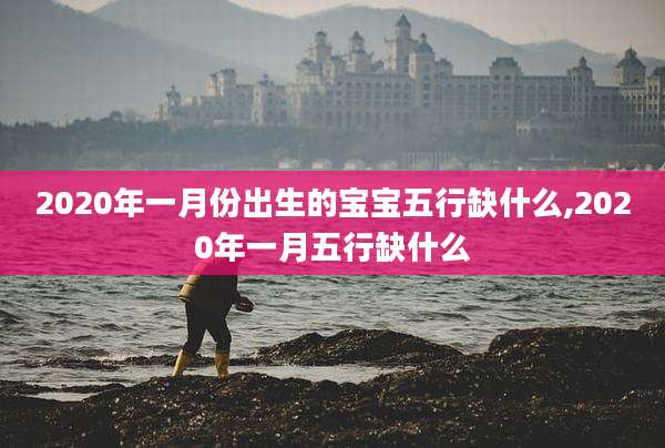 2020年一月份出生的宝宝五行缺什么,2020年一月五行缺什么