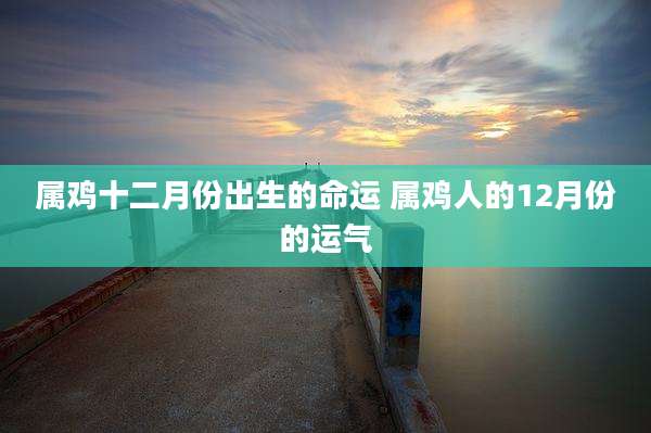 属鸡十二月份出生的命运 属鸡人的12月份的运气