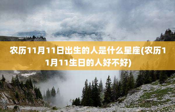 农历11月11日出生的人是什么星座(农历11月11生日的人好不好)