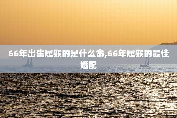 66年出生属猴的是什么命,66年属猴的最佳婚配