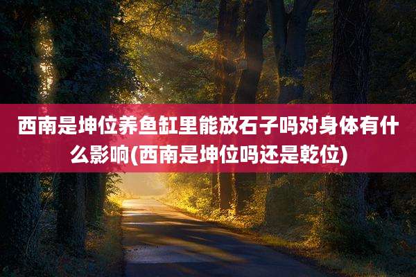 西南是坤位养鱼缸里能放石子吗对身体有什么影响(西南是坤位吗还是乾位)