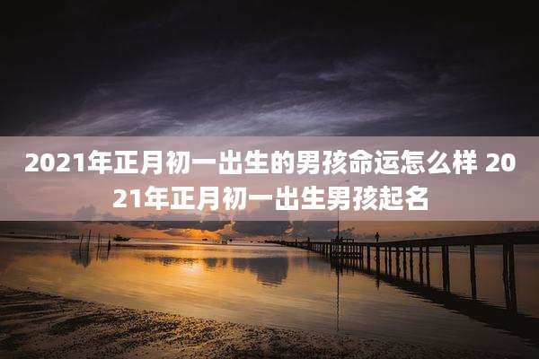 2021年正月初一出生的男孩命运怎么样 2021年正月初一出生男孩起名