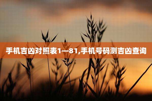 手机吉凶对照表1—81,手机号码测吉凶查询