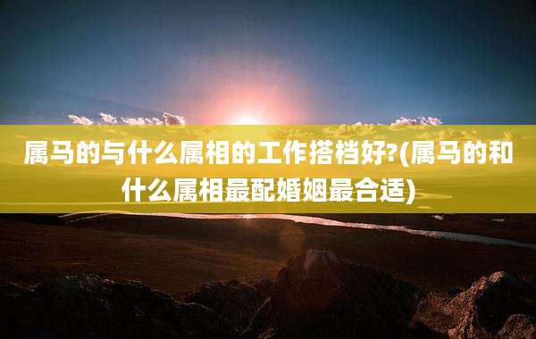 属马的与什么属相的工作搭档好?(属马的和什么属相最配婚姻最合适)