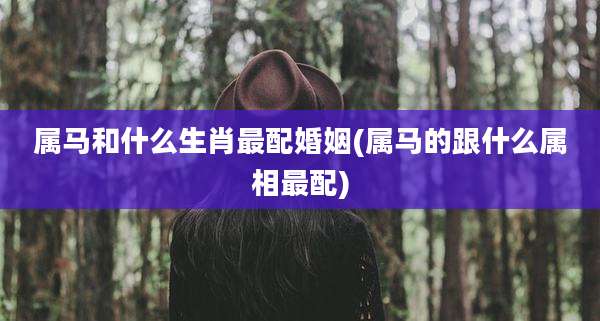 属马和什么生肖最配婚姻(属马的跟什么属相最配)
