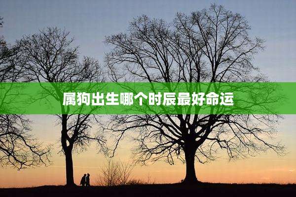 属狗出生哪个时辰最好命运