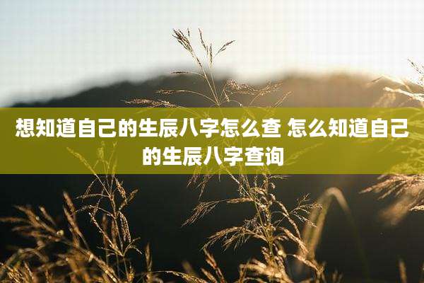 想知道自己的生辰八字怎么查 怎么知道自己的生辰八字查询