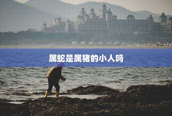 属蛇是属猪的小人吗