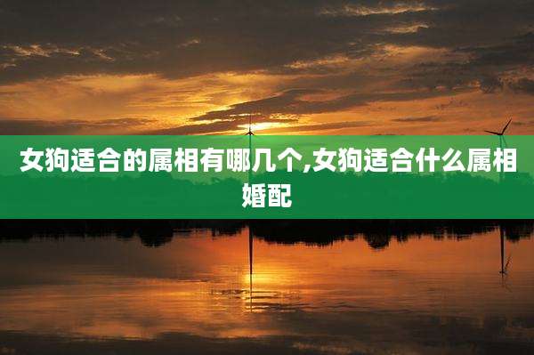 女狗适合的属相有哪几个,女狗适合什么属相婚配