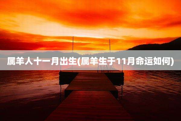 属羊人十一月出生(属羊生于11月命运如何)